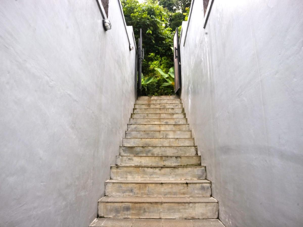 Abinawa Hill Bed & Breakfast Lovina  Ngoại thất bức ảnh